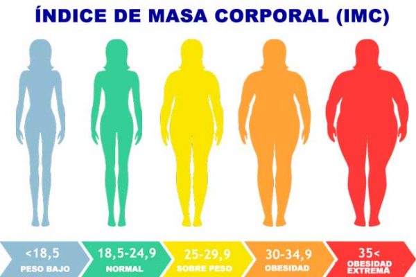 El sobrepeso y la obesidad – Nutrióloga Clínica